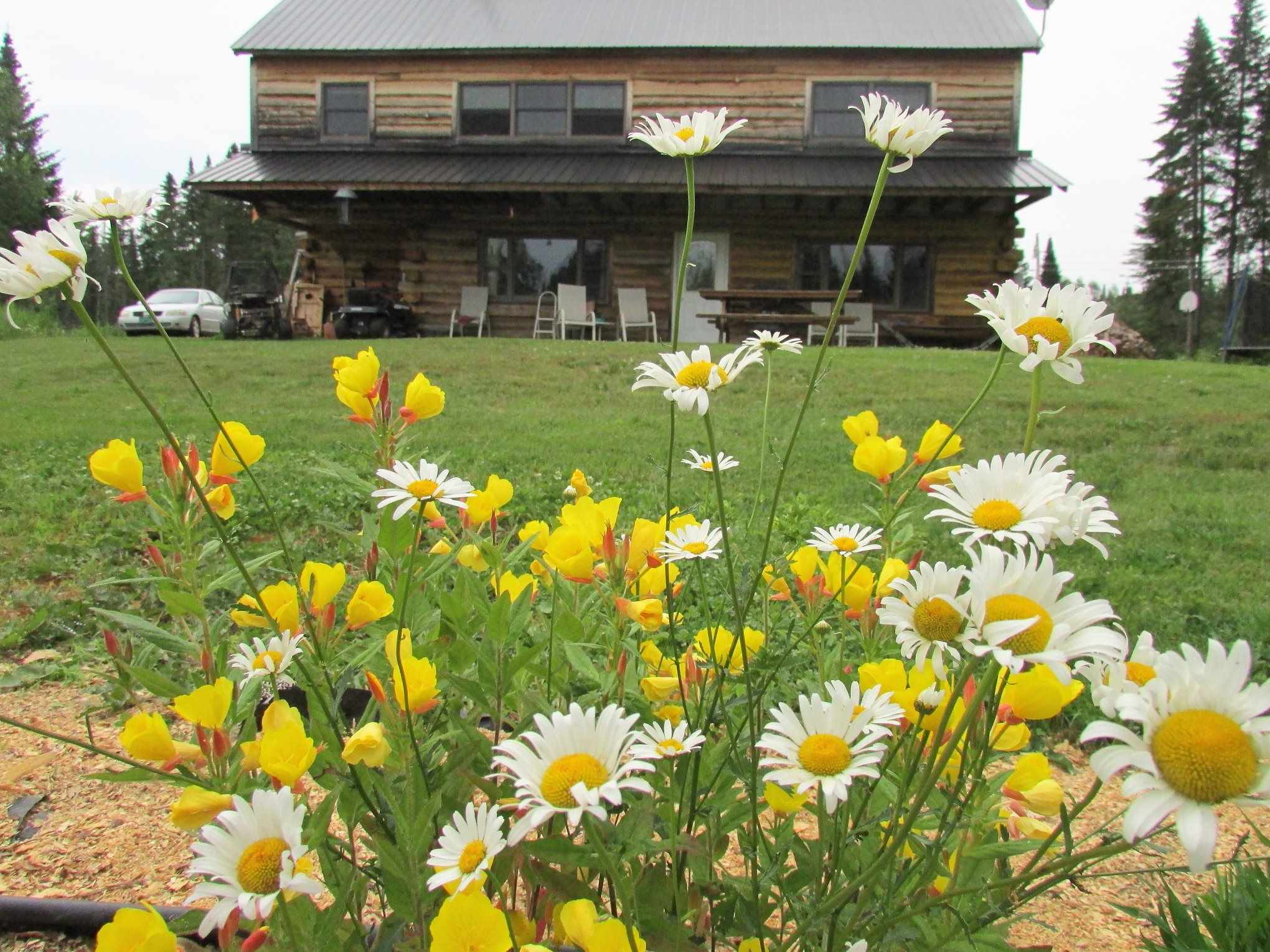 230 Leo's Lane Norton, VT 05907 - Photo 22 of 28 Gallery Image 22