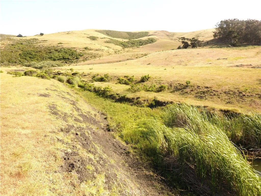 0 Ca-1 Cayucos, CA 93430 - Photo 34 of 63 a view of an ocean