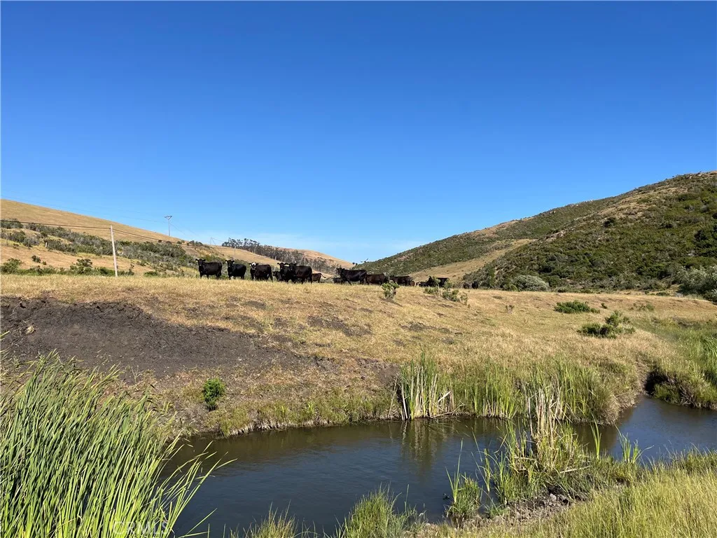 0 Ca-1 Cayucos, CA 93430 - Photo 40 of 63