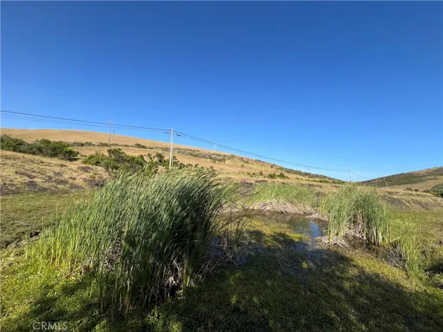 a view of a road with a yard