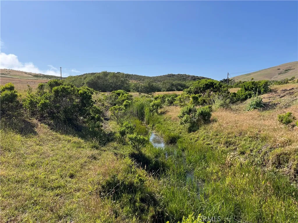 0 Ca-1 Cayucos, CA 93430 - Photo 43 of 63 a view of a forest with mountains in the background
