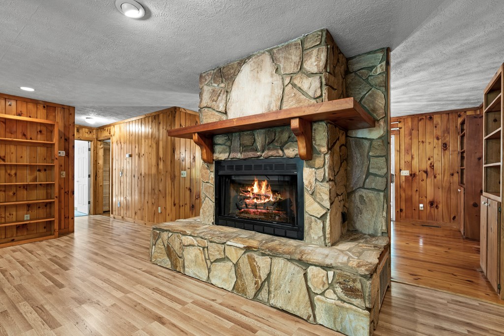 51 Haddock Drive Blue Ridge, GA 30513 - Photo 11 of 37 Gallery Image 11