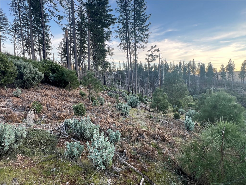 16710 Starview Loop Cobb, CA 95426 - Photo 14 of 16