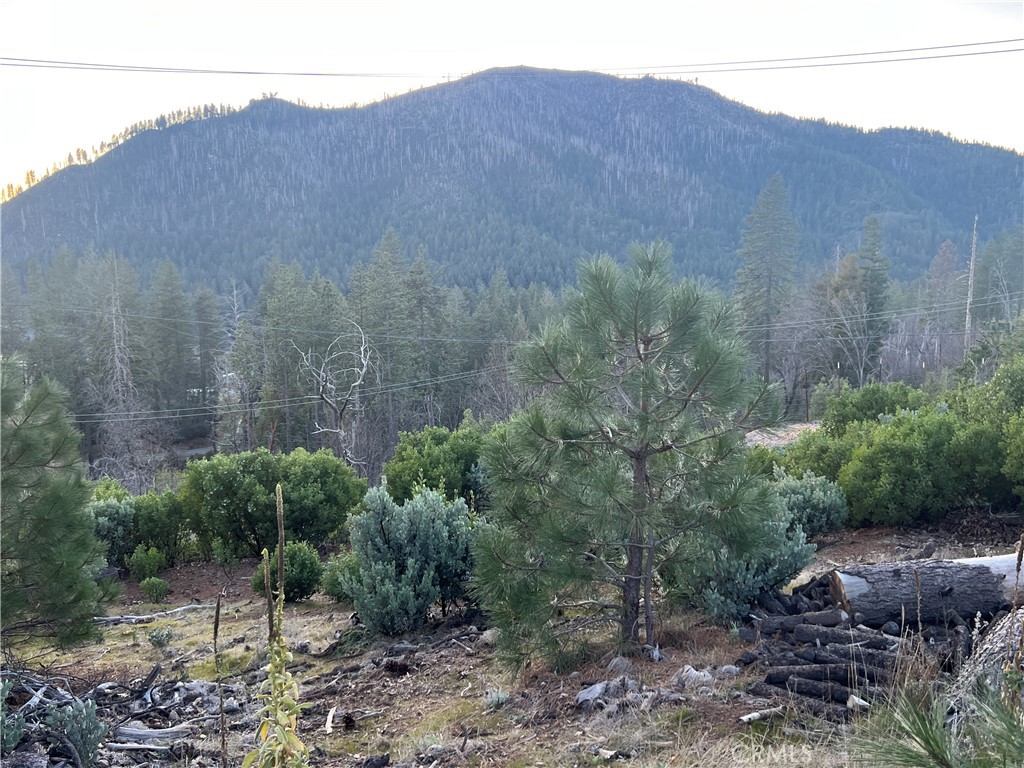 16710 Starview Loop Cobb, CA 95426 - Photo 15 of 16