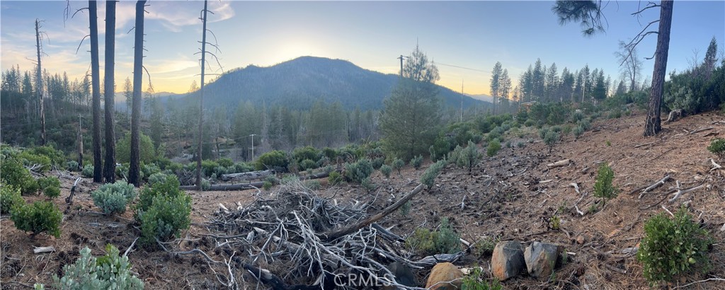 16710 Starview Loop Cobb, CA 95426 - Photo 2 of 14 a view of a house with a yard and a forest