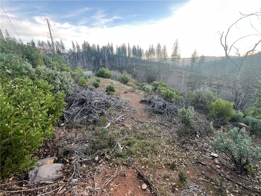 16710 Starview Loop Cobb, CA 95426 - Photo 7 of 14 a view of a field
