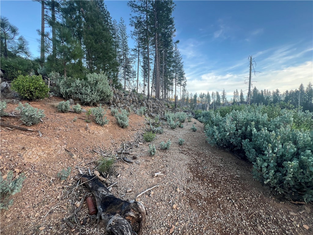 16710 Starview Loop Cobb, CA 95426 - Photo 10 of 16