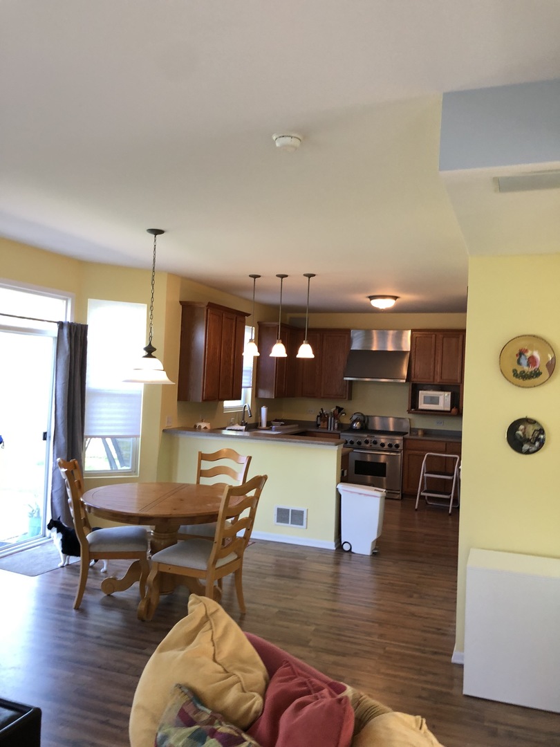 25358 Spring Street Manhattan, IL 60442 - Photo 20 of 41 Gallery Image 20