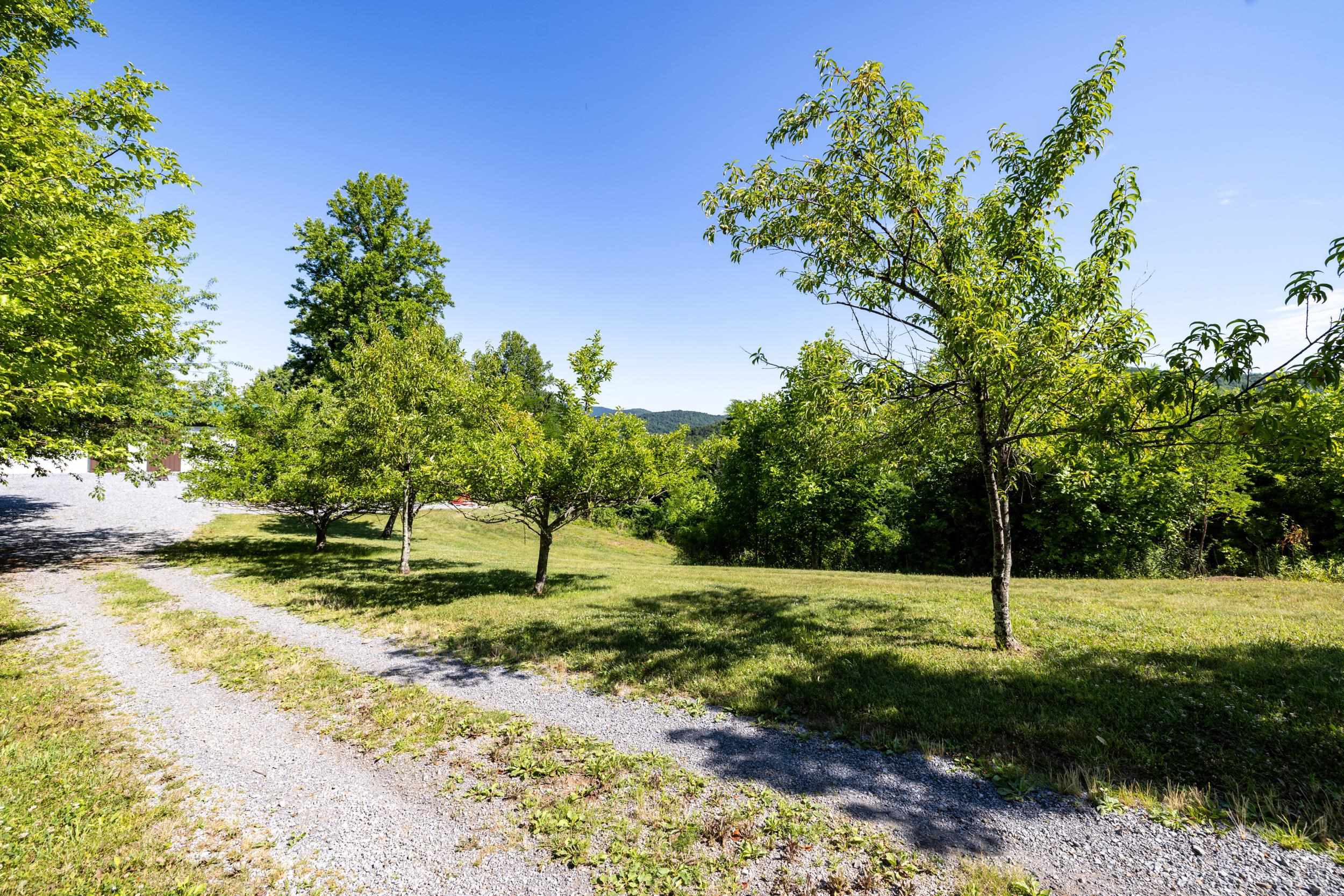 5855 Jollett Road Elkton, VA 22827 - Photo 50 of 74