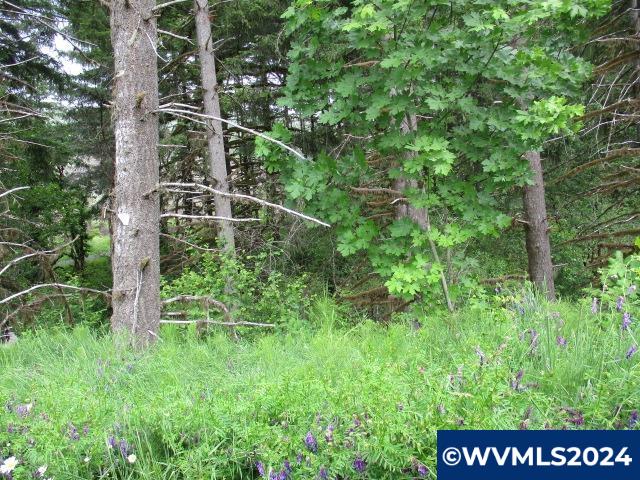 0 Northwest Fairdale Road Yamhill, OR 97148 - Photo 3 of 27