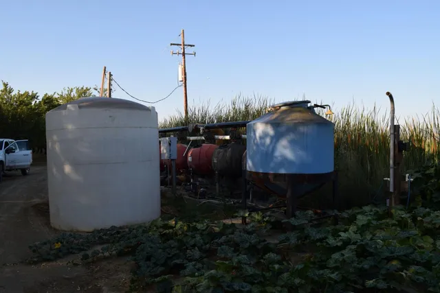a view of a yard with an outdoor space