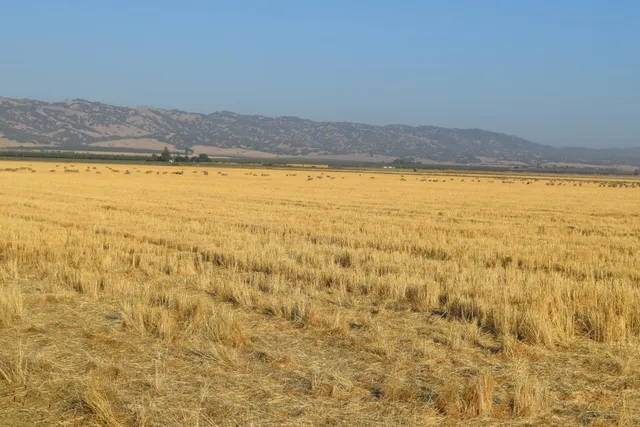 a view of an ocean and beach