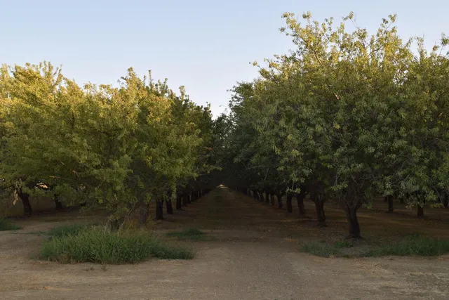 a view of outdoor space and yard