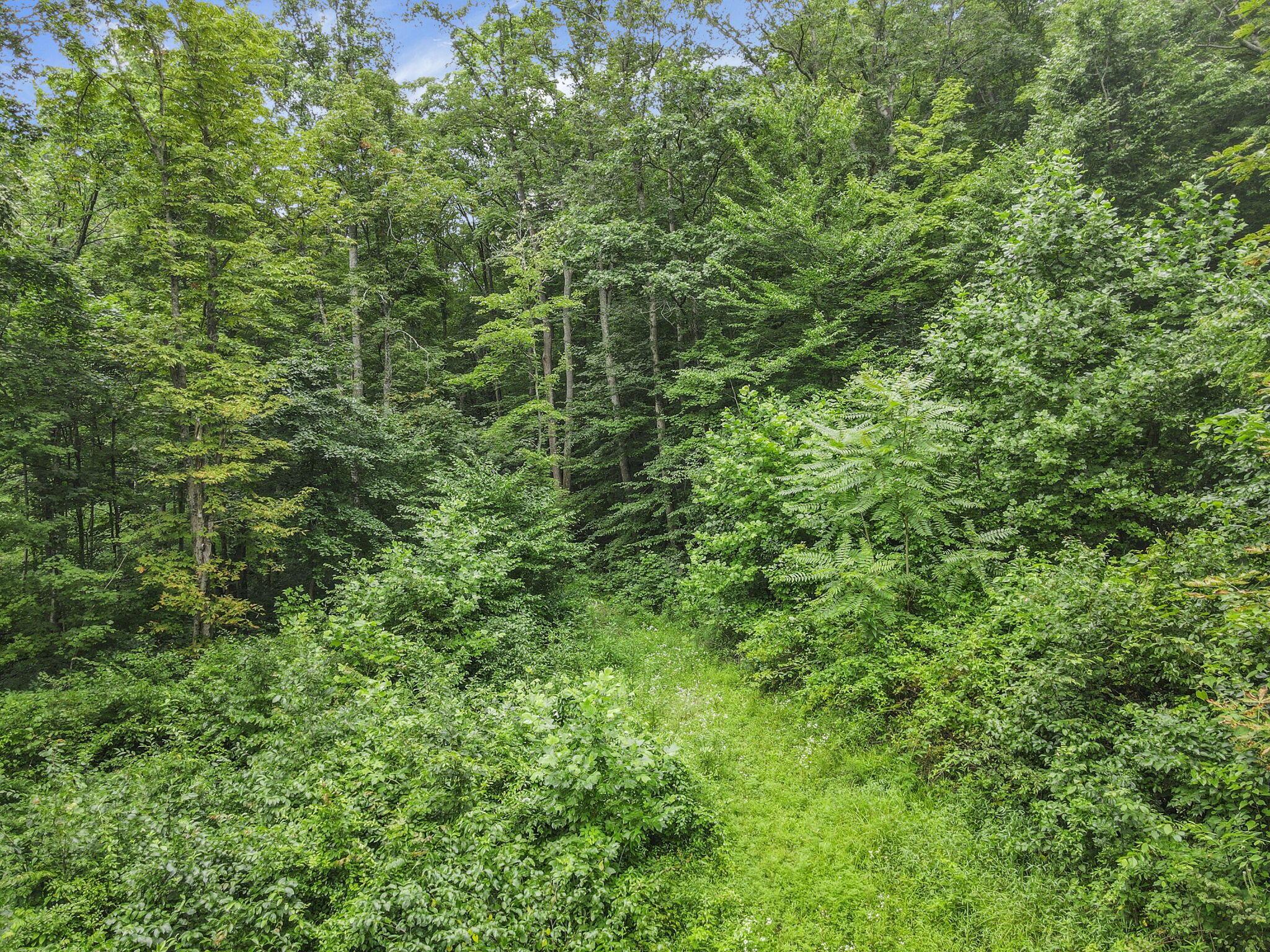0 Greens Run Road Glouster, OH 45732 - Photo 78 of 121 78-web-or-mls-DJI_0309