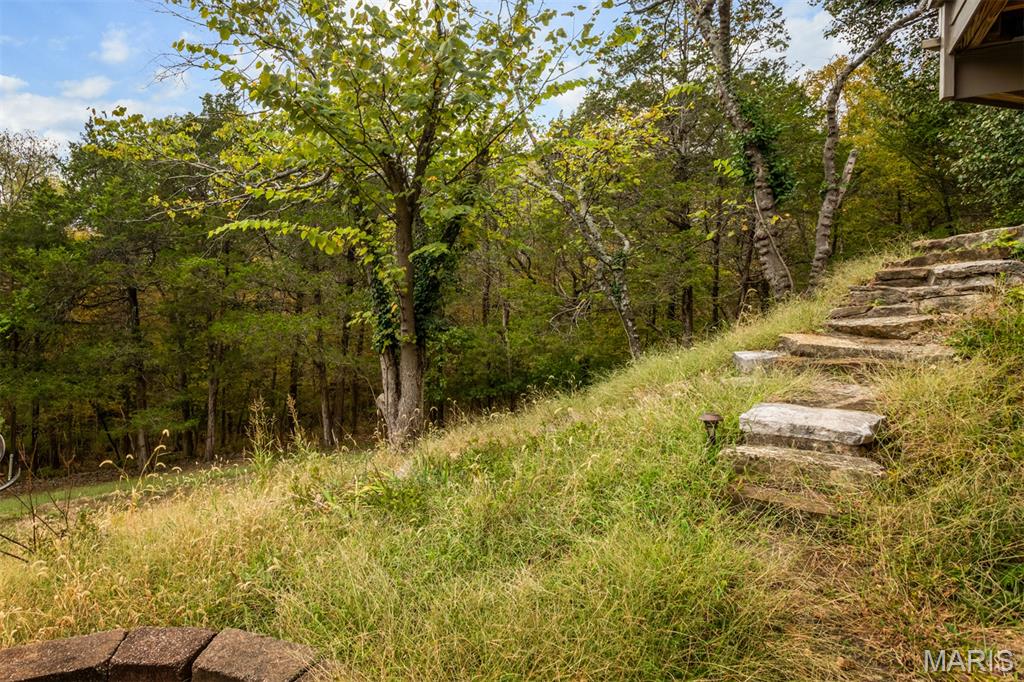 1075 Eureka Road Eureka, MO 63025 - Photo 67 of 87