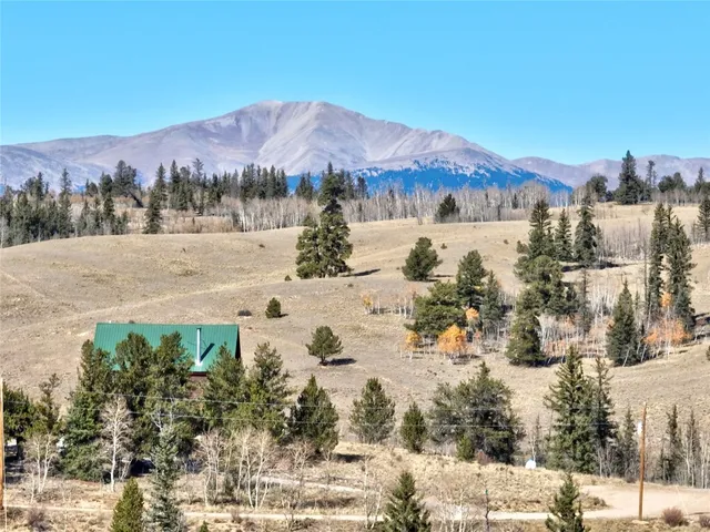 a view of a dry yard with trees