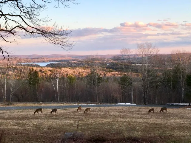 $410,000 | 124 Gray Road, Sangerville, ME 04479