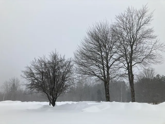 $410,000 | 124 Gray Road, Sangerville, ME 04479