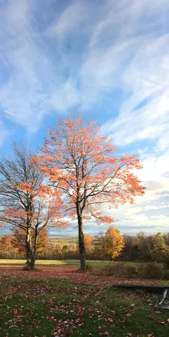 $410,000 | 124 Gray Road, Sangerville, ME 04479
