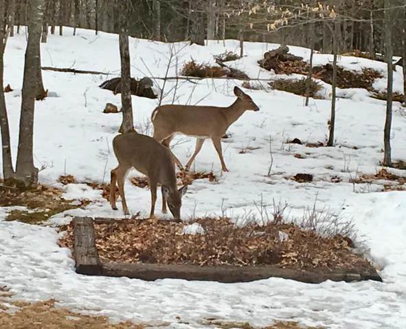 $410,000 | 124 Gray Road, Sangerville, ME 04479