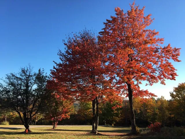 $410,000 | 124 Gray Road, Sangerville, ME 04479