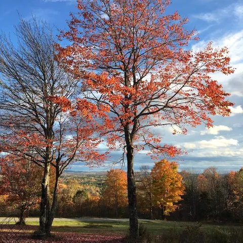 $410,000 | 124 Gray Road, Sangerville, ME 04479