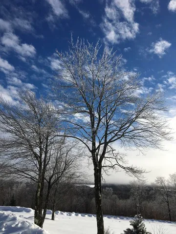 $410,000 | 124 Gray Road, Sangerville, ME 04479