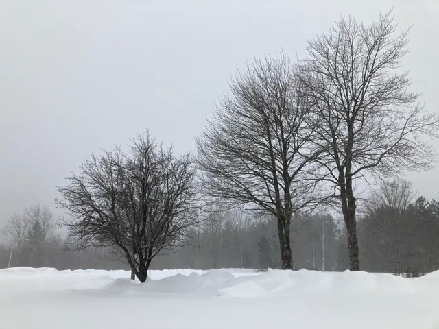 $410,000 | 124 Gray Road, Sangerville, ME 04479