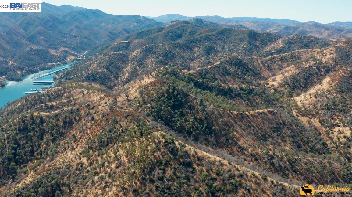 a view of a forest with mountains in the background