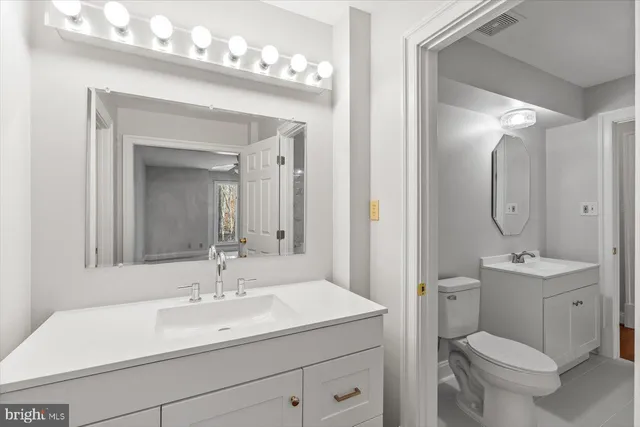 a bathroom with a toilet a sink a mirror a vanity and shower