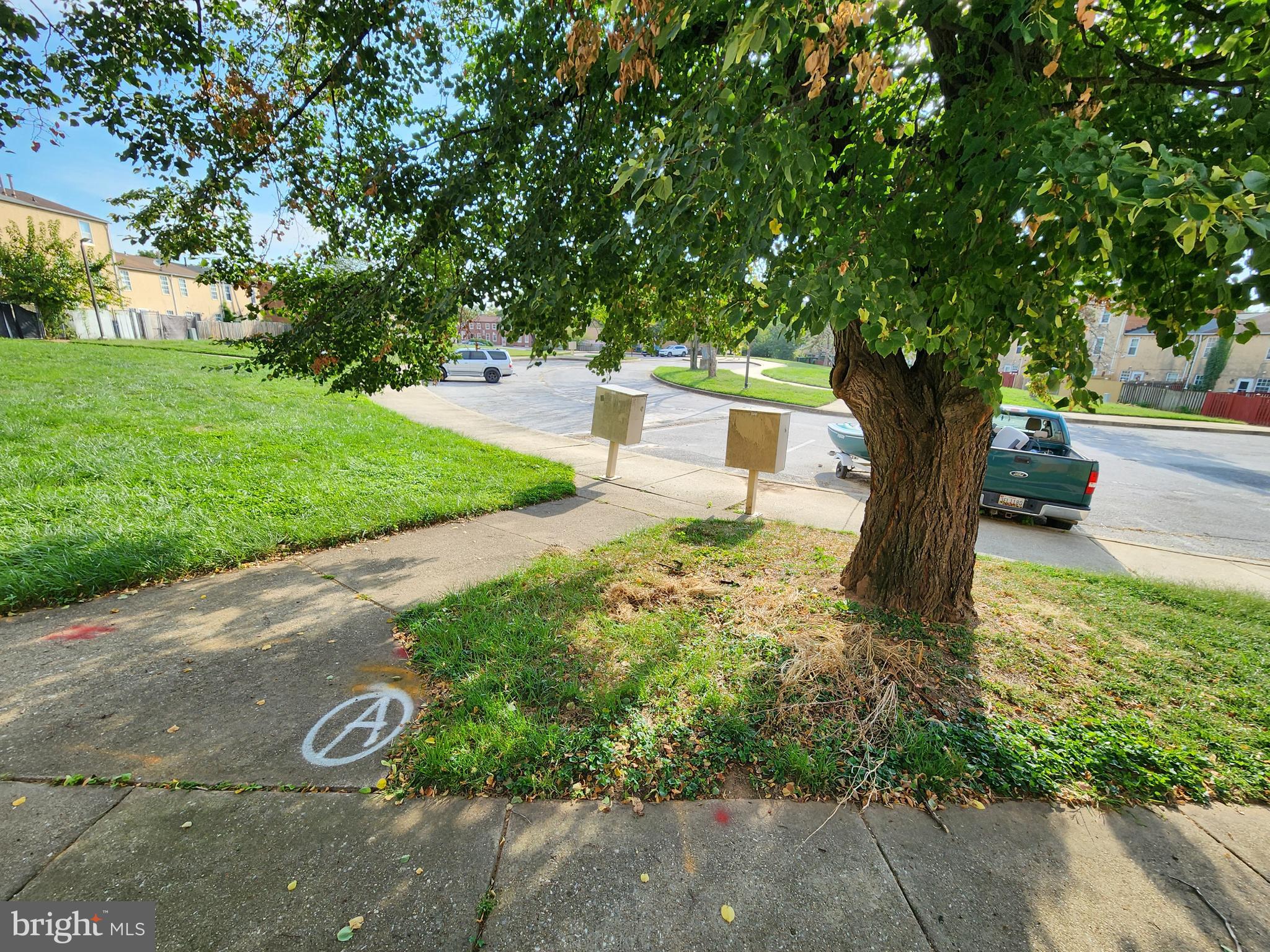 819 Aisquith Street Baltimore, MD 21202 - Photo 23 of 24 a view of a yard with plants and trees