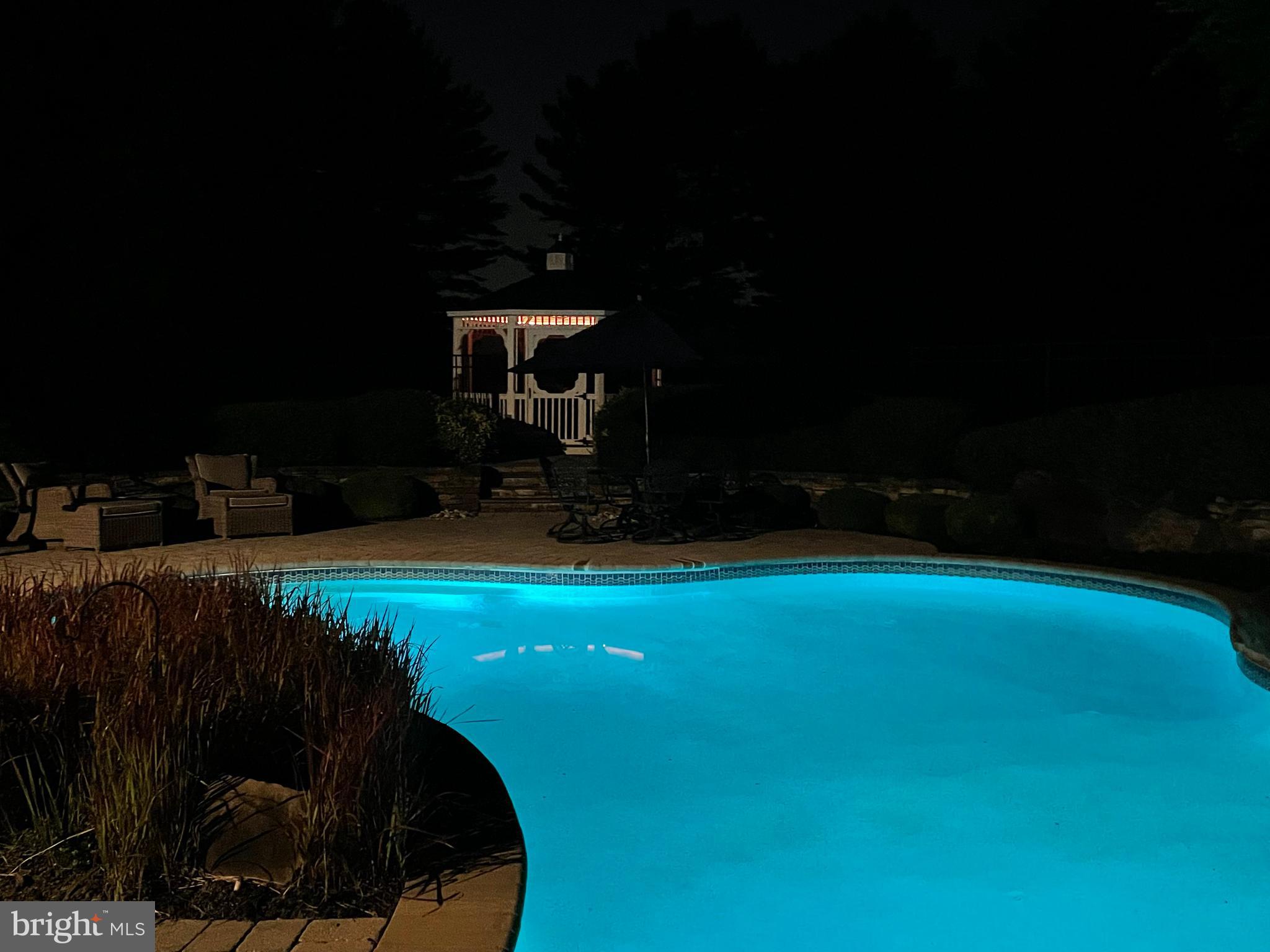 12215 Etchison Road Ellicott City, MD 21042 - Photo 24 of 46 Night time lights in the pool