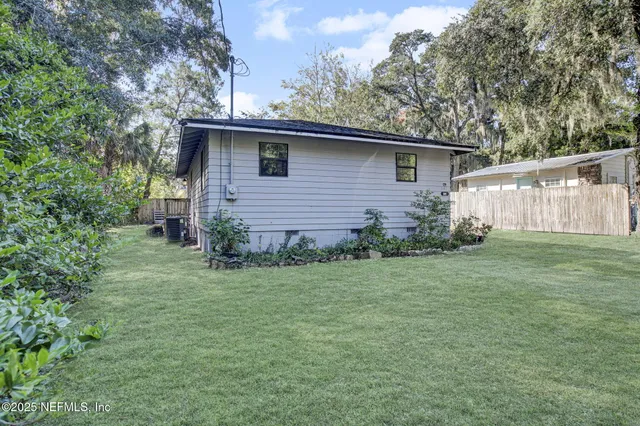 a view of a backyard with plants and large tree