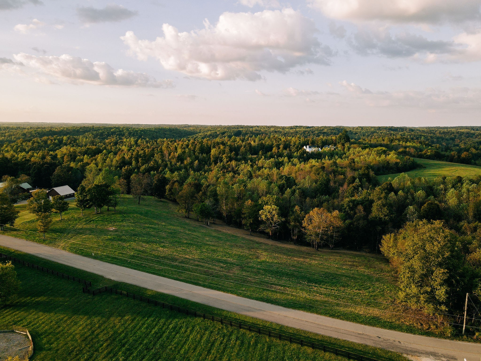 a view of a city with lush green forest
