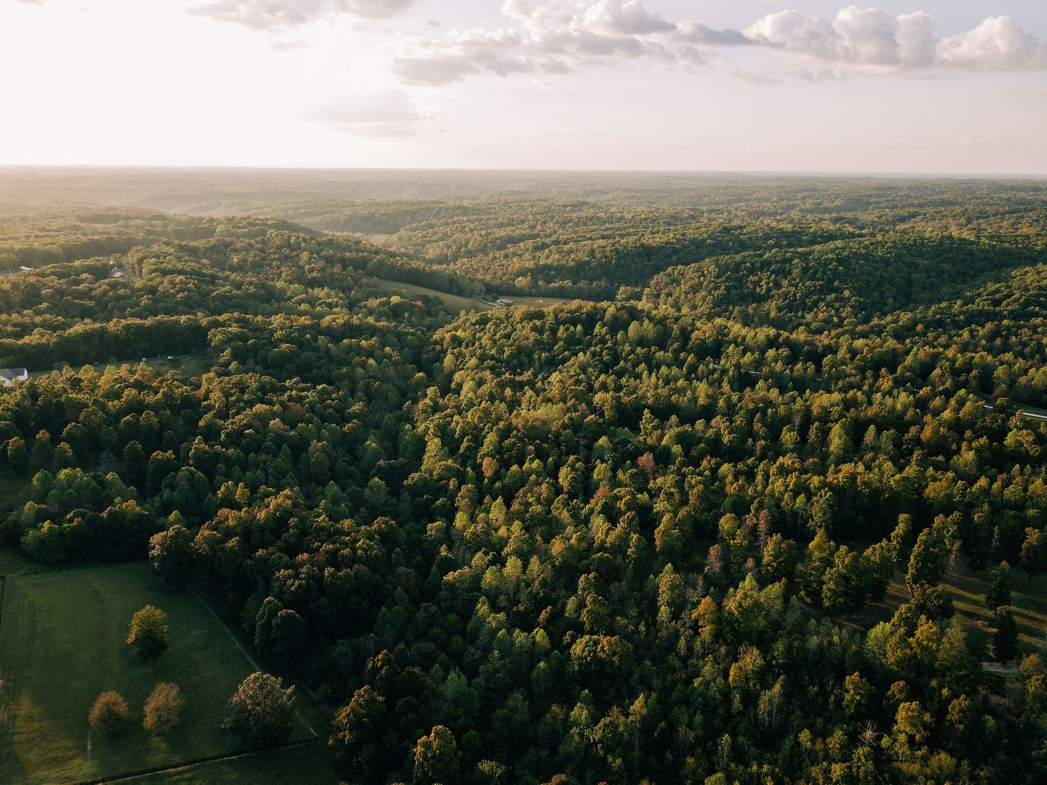 7810 West Lick Creek Road Primm Springs, TN 38476 - Photo 13 of 39 a view of a city with lush green forest