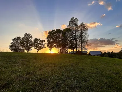 $475,000 | 7810 West Lick Creek Road, Primm Springs, TN 38476