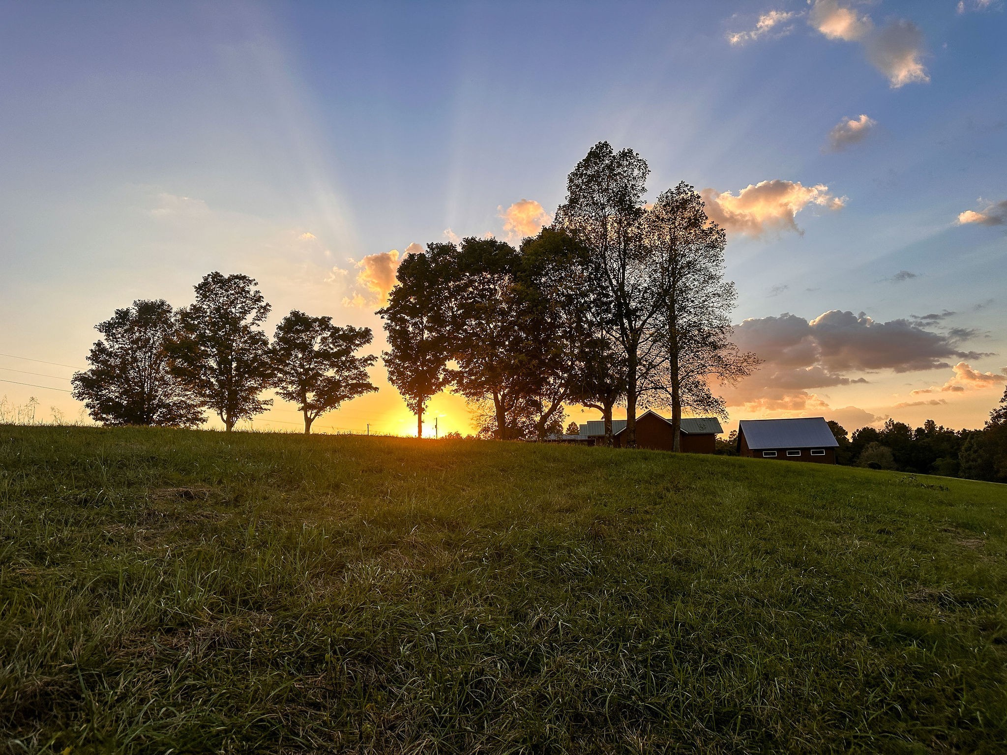 7810 West Lick Creek Road Primm Springs, TN 38476 - Photo 22 of 39 a view of a field with large trees