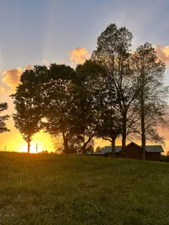 $475,000 | 7810 West Lick Creek Road, Primm Springs, TN 38476