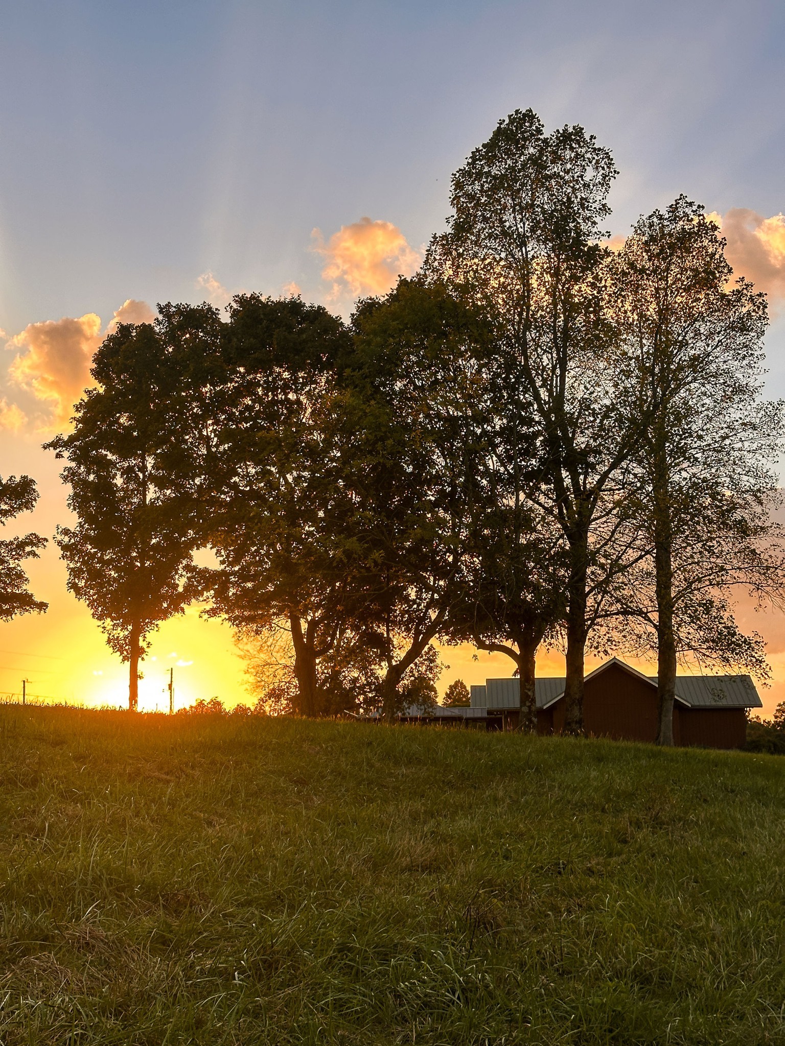 7810 West Lick Creek Road Primm Springs, TN 38476 - Photo 23 of 39 a view of outdoor space and yard