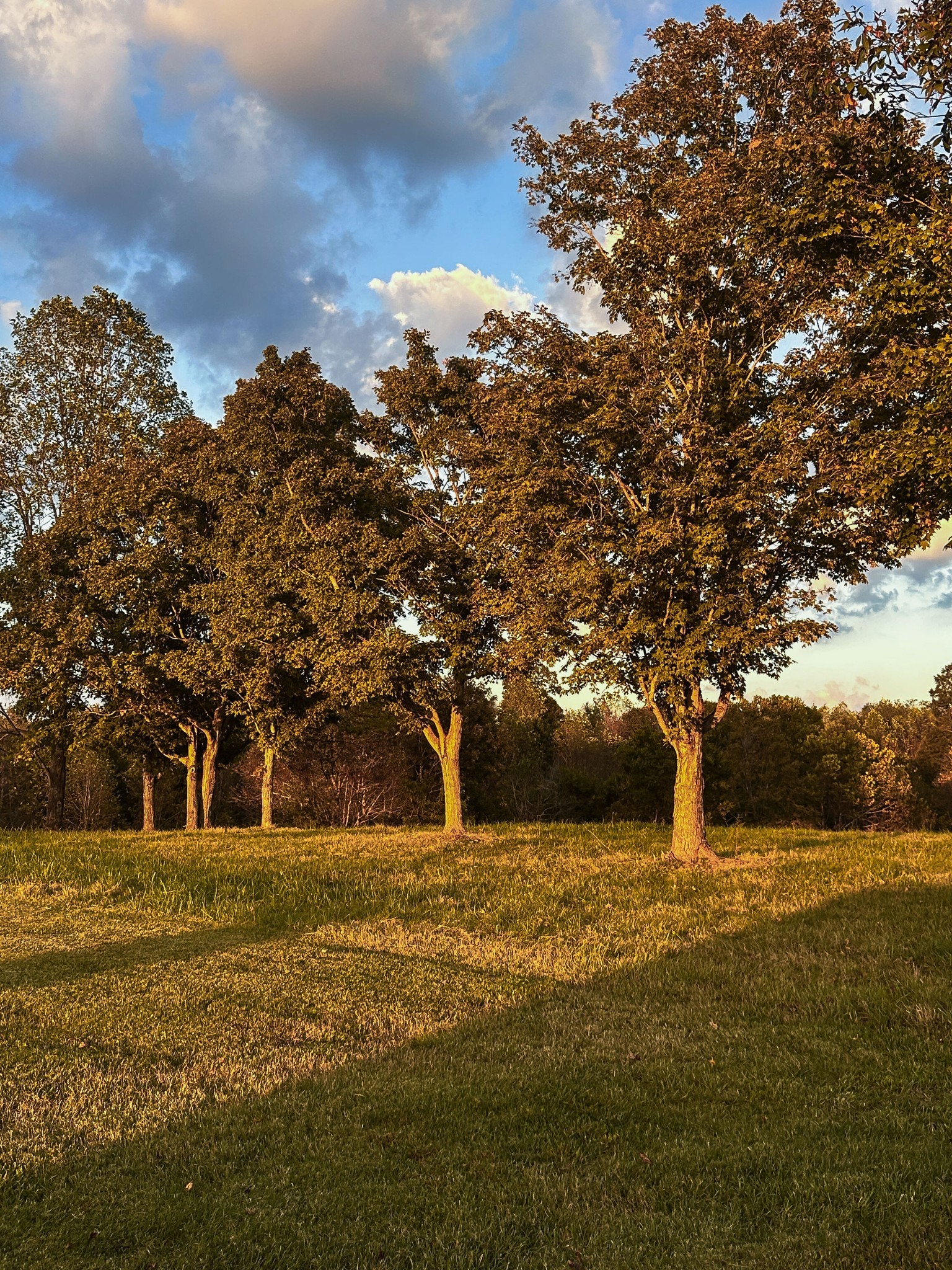 7810 West Lick Creek Road Primm Springs, TN 38476 - Photo 24 of 39