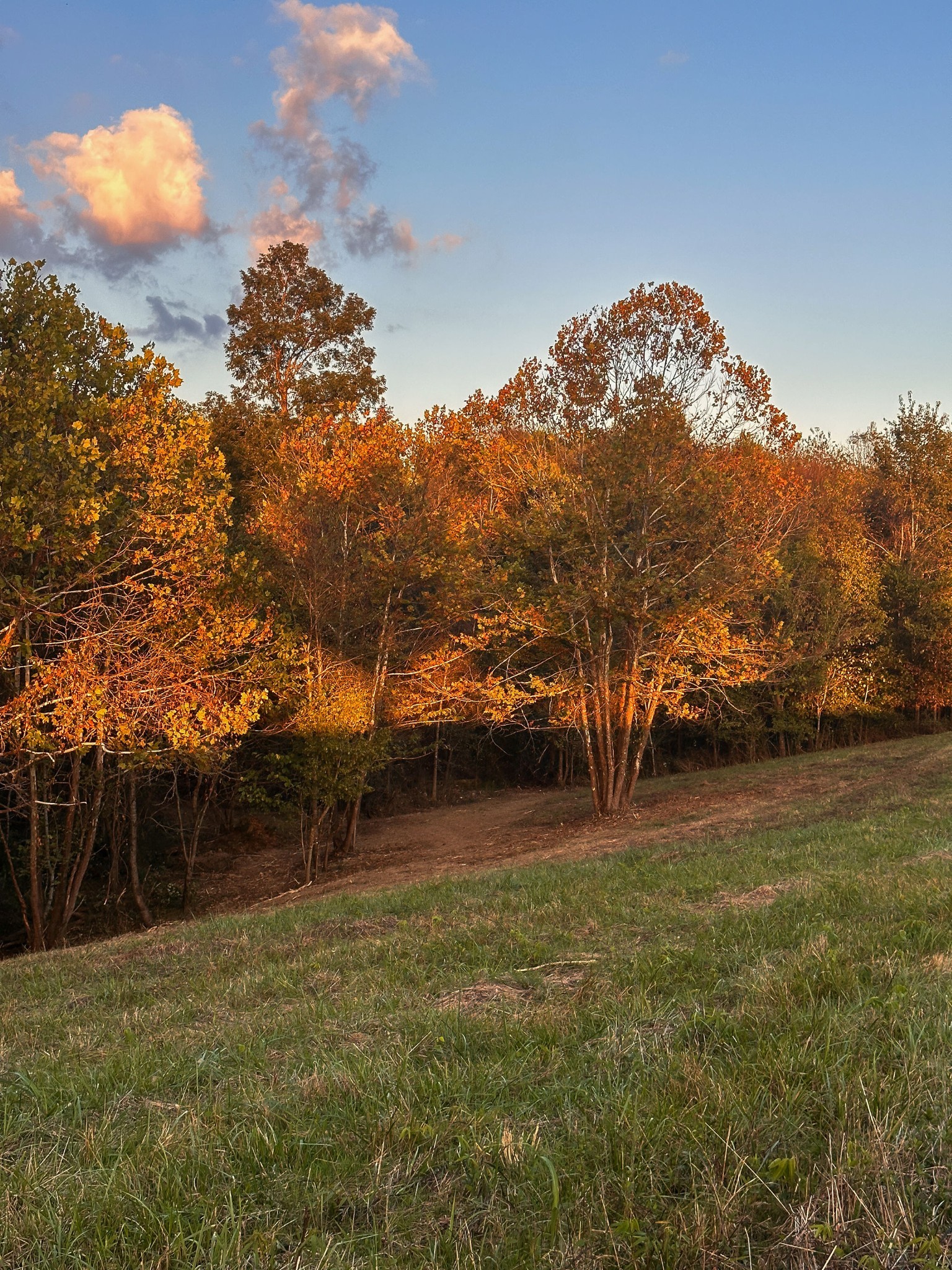 7810 West Lick Creek Road Primm Springs, TN 38476 - Photo 25 of 39 a view of outdoor space with mountain view
