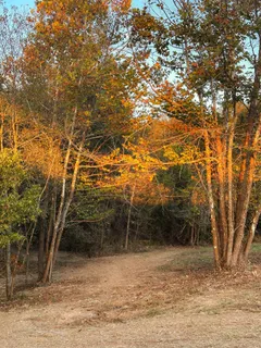 $475,000 | 7810 West Lick Creek Road, Primm Springs, TN 38476