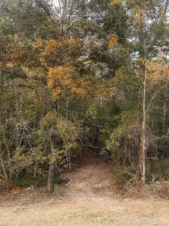 $475,000 | 7810 West Lick Creek Road, Primm Springs, TN 38476