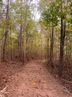 $475,000 | 7810 West Lick Creek Road, Primm Springs, TN 38476