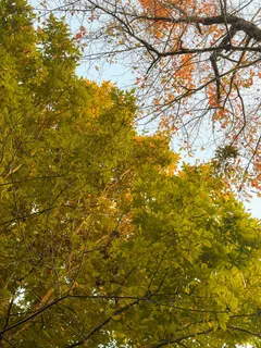 $475,000 | 7810 West Lick Creek Road, Primm Springs, TN 38476