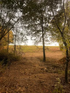 $475,000 | 7810 West Lick Creek Road, Primm Springs, TN 38476