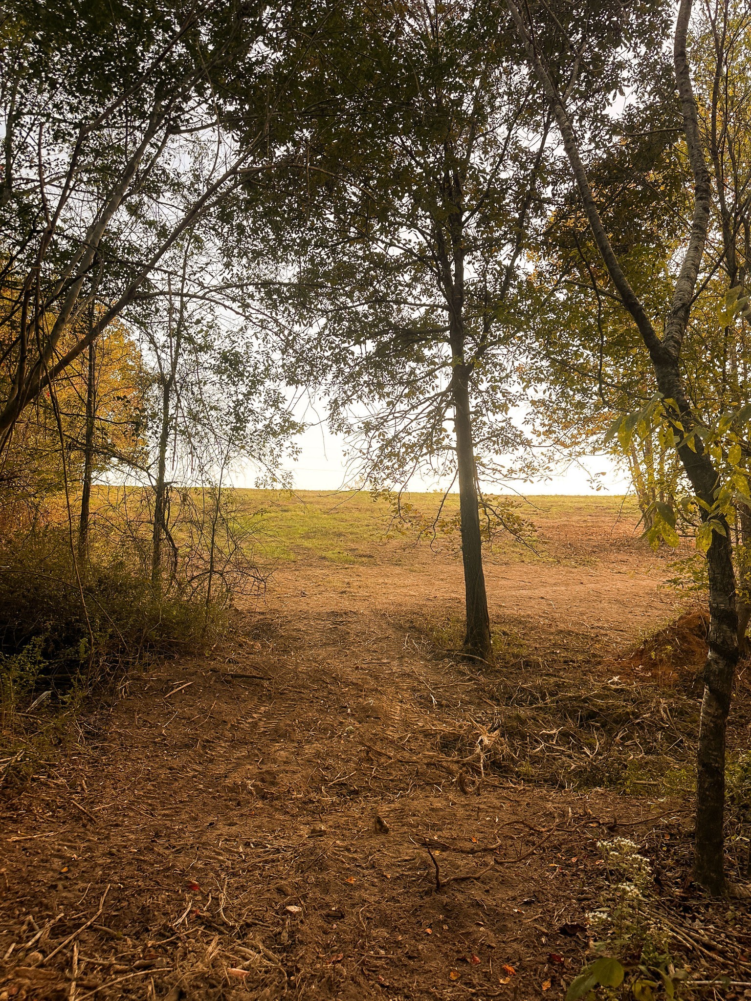 7810 West Lick Creek Road Primm Springs, TN 38476 - Photo 33 of 39 a view of an ocean