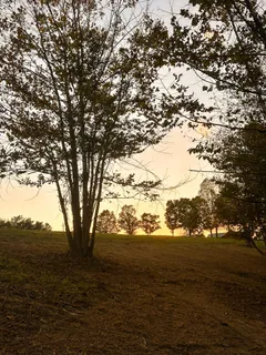 $475,000 | 7810 West Lick Creek Road, Primm Springs, TN 38476