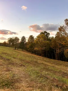 $475,000 | 7810 West Lick Creek Road, Primm Springs, TN 38476