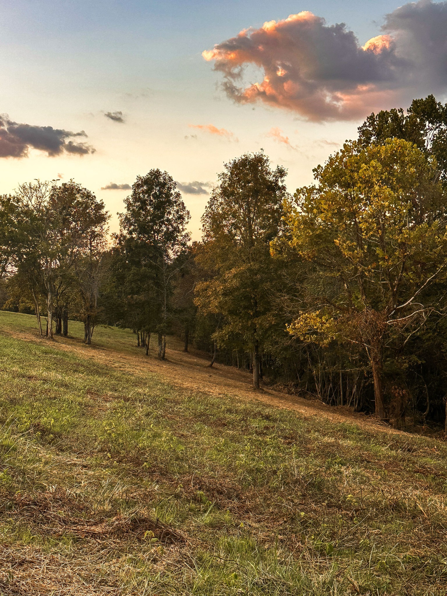7810 West Lick Creek Road Primm Springs, TN 38476 - Photo 37 of 39 a backyard of a house with lots of green space